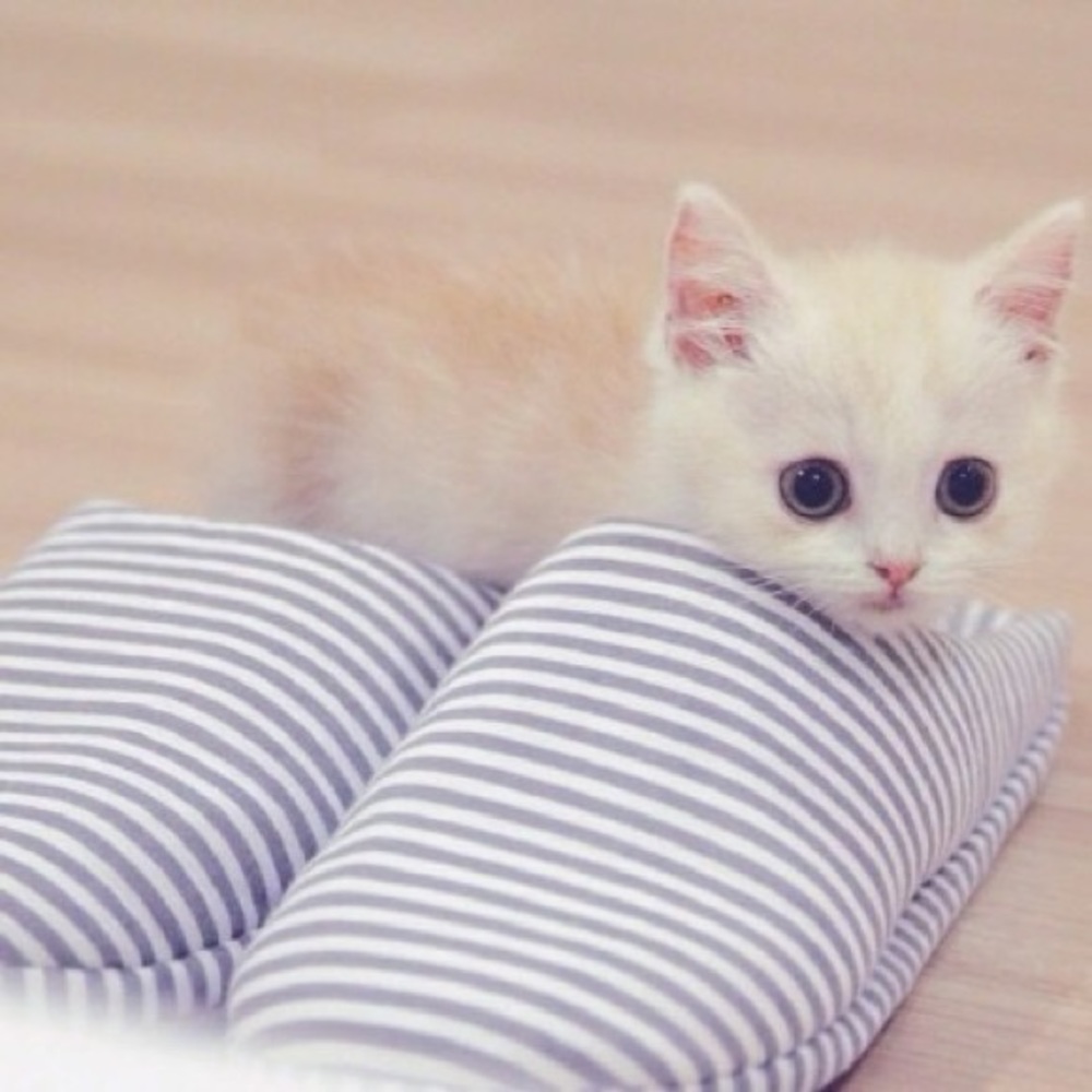 Meet your Posher, Yueyi